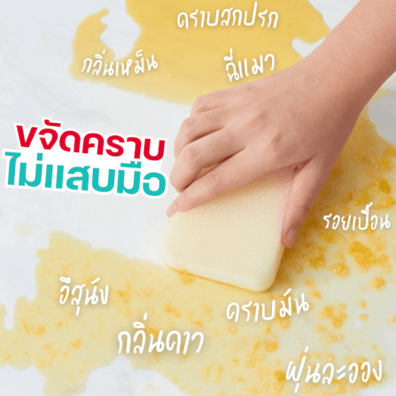 น้ำยาทำความสะอาดอเนกประสงค์ PETTO BONNYS สูตรเข้มข้น กลิ่นเปปเปอร์มินต์และส้ม 600 มล. 6 ขวด_6